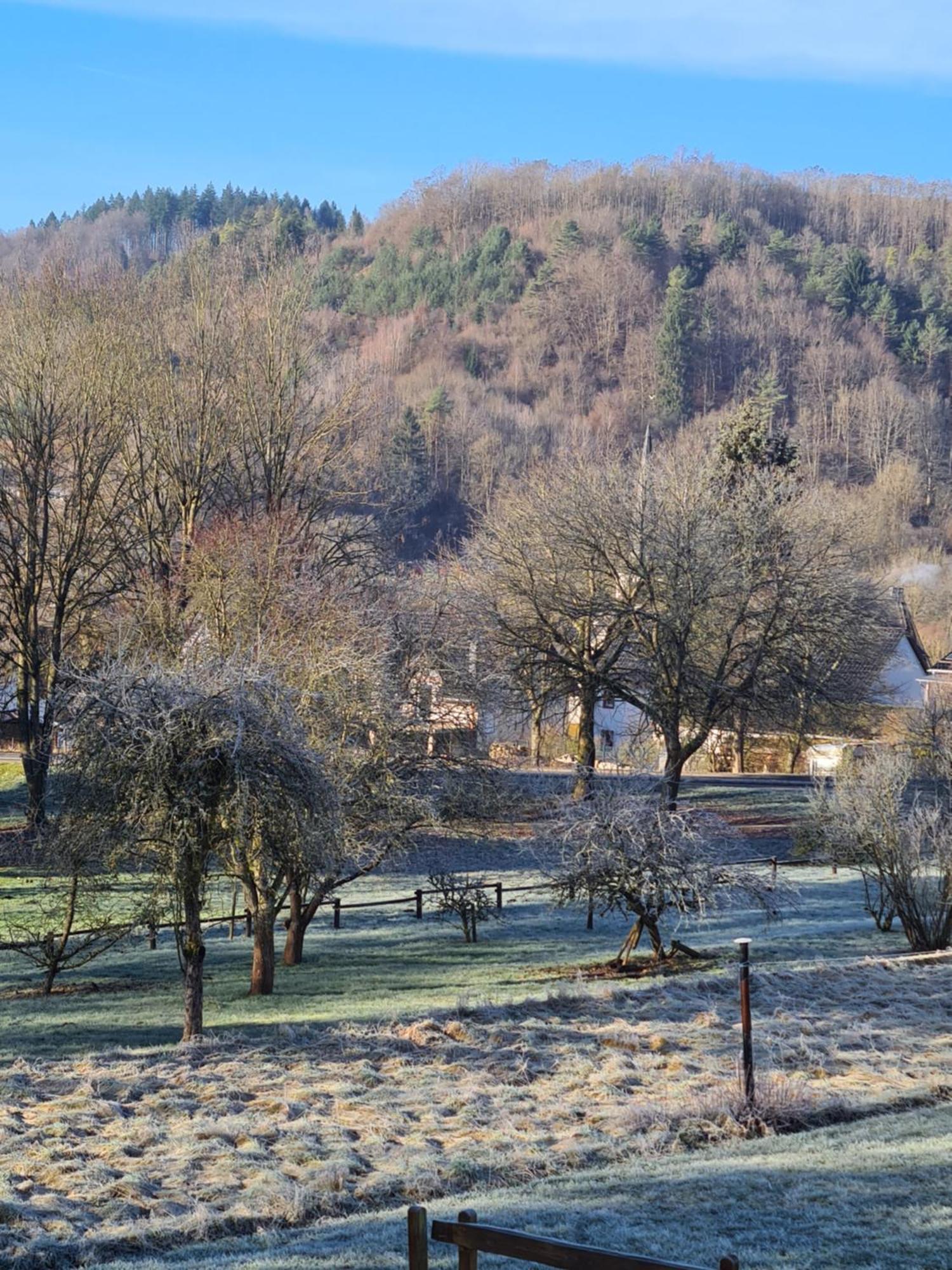Ferienwohnung Burgblick Pelm Luaran gambar